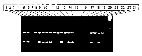 Une figure unique qui représente un dessin illustrant l'invention.